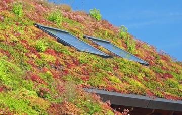 Haverthwaite living roof systems