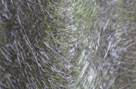 Haverthwaite fibreglass roof work